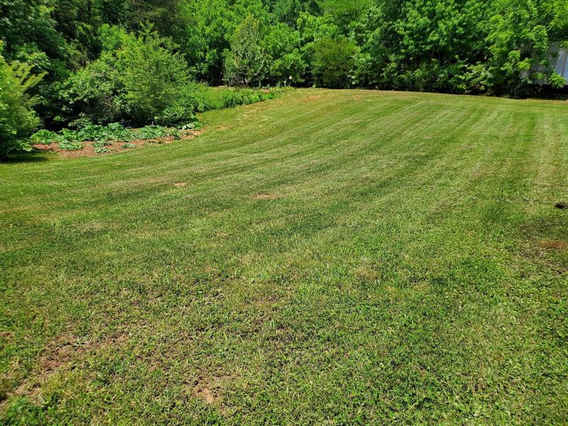Striped lawn after mowing
