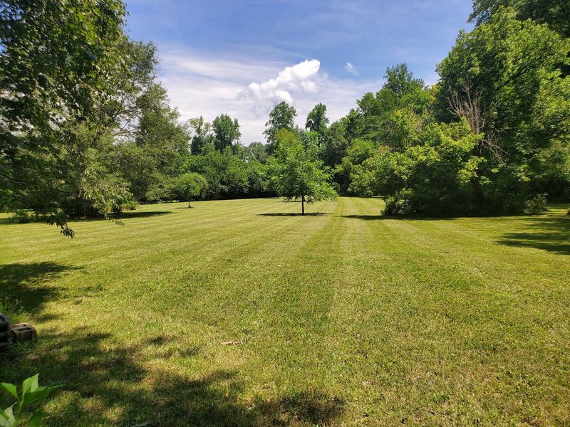 Mowed lawn along a tree line