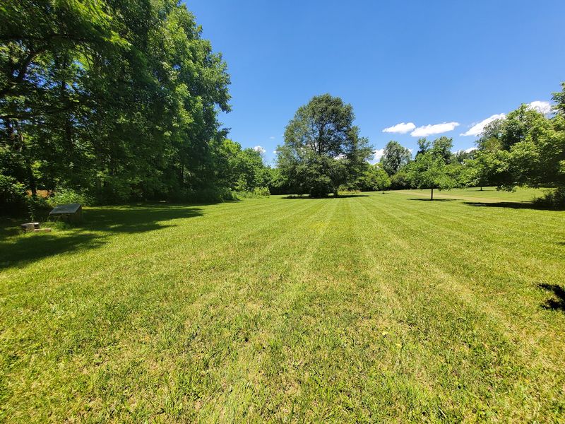 Freshly mowed lawn with clean stripes