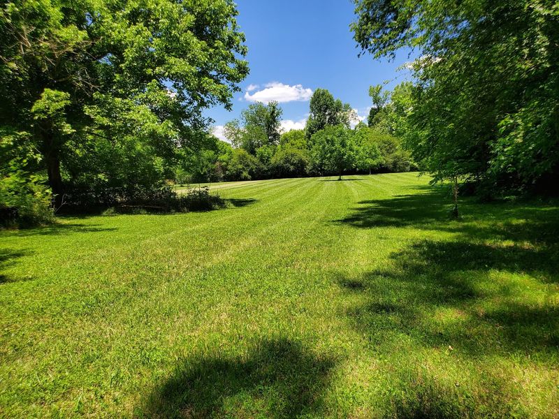 Grounds maintenance under shade trees